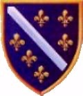 Bosnia's coat of arms at first temporarily in April of 1992. Mostly claimed by the Bosniac Muslims during the war. There were several different variations claimed/used by different groups/militias.